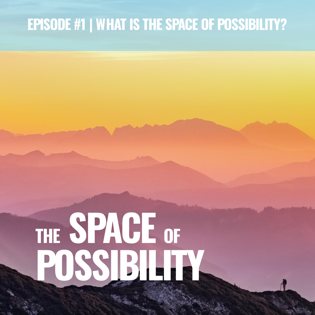 What is the space of possibility?